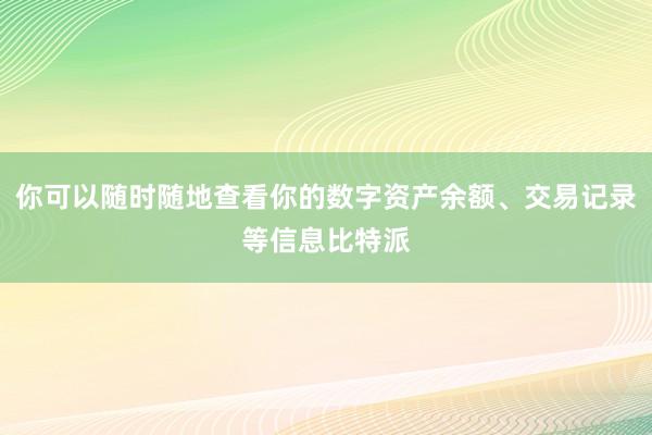 你可以随时随地查看你的数字资产余额、交易记录等信息比特派