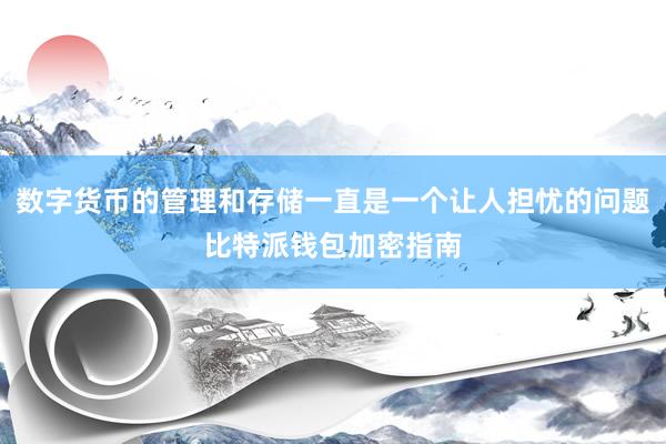 数字货币的管理和存储一直是一个让人担忧的问题比特派钱包加密指南