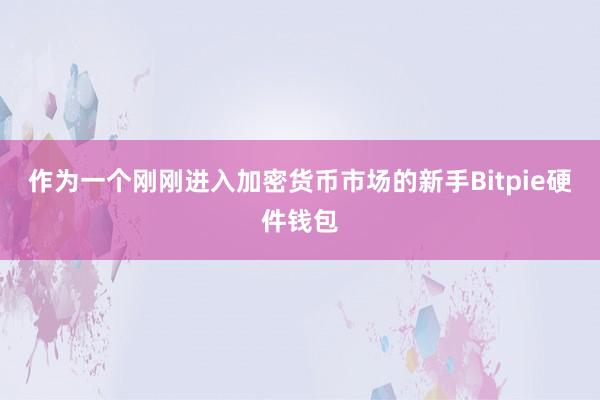 作为一个刚刚进入加密货币市场的新手Bitpie硬件钱包