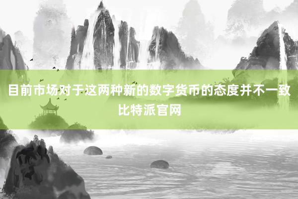 目前市场对于这两种新的数字货币的态度并不一致比特派官网