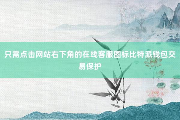 只需点击网站右下角的在线客服图标比特派钱包交易保护