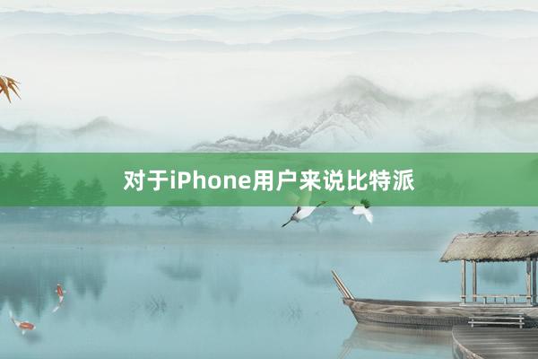 对于iPhone用户来说比特派