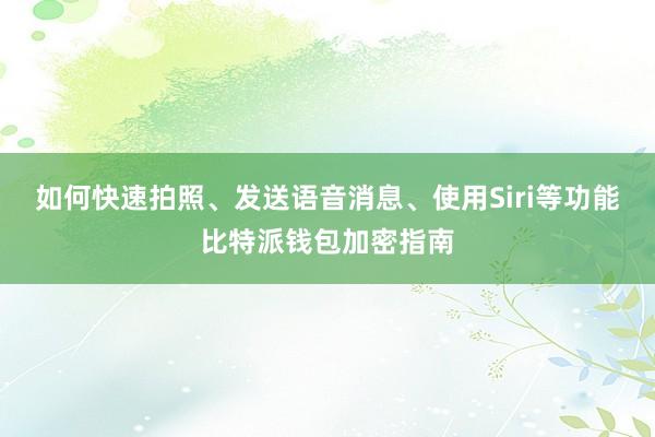 如何快速拍照、发送语音消息、使用Siri等功能比特派钱包加密指南