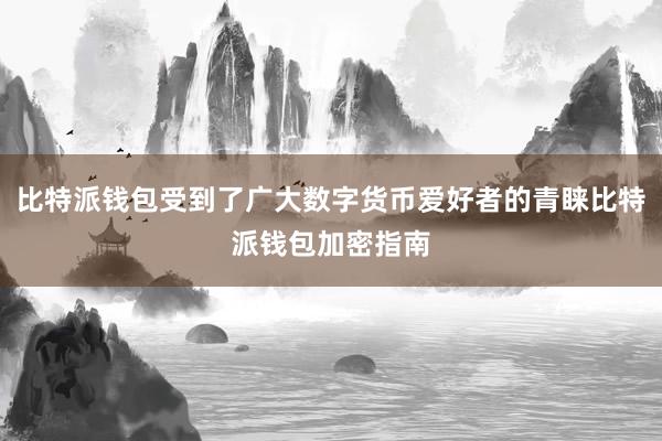 比特派钱包受到了广大数字货币爱好者的青睐比特派钱包加密指南