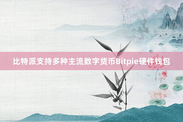 比特派支持多种主流数字货币Bitpie硬件钱包