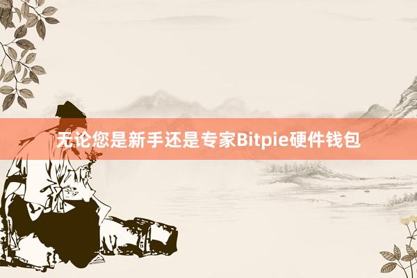 无论您是新手还是专家Bitpie硬件钱包