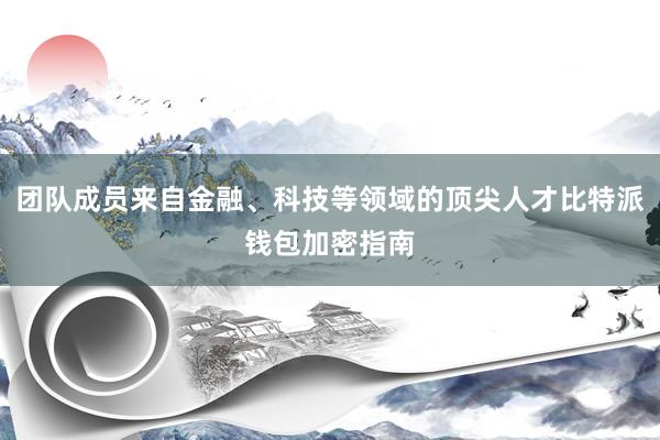 团队成员来自金融、科技等领域的顶尖人才比特派钱包加密指南