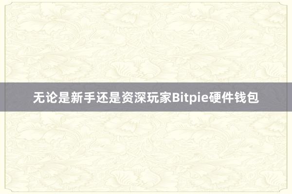 无论是新手还是资深玩家Bitpie硬件钱包