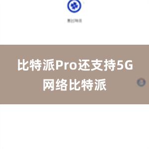 比特派Pro还支持5G网络比特派