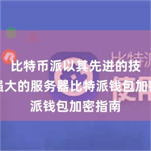 比特币派以其先进的技术和强大的服务器比特派钱包加密指南