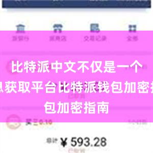 比特派中文不仅是一个信息获取平台比特派钱包加密指南