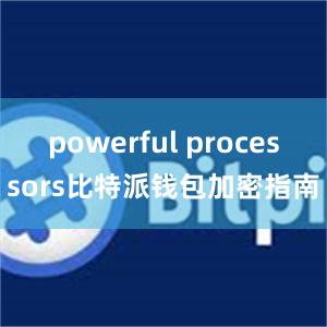 powerful processors比特派钱包加密指南